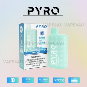 PYRO Vape 6000 Puffs 5% Cool Mint