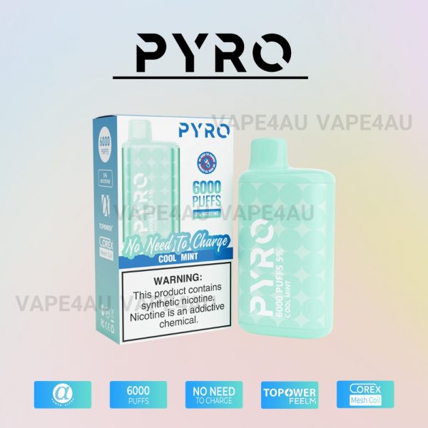 PYRO Vape 6000 Puffs 5% Cool Mint