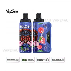 VapSolo Viking 12000 Puffs Blueberry Raspberry