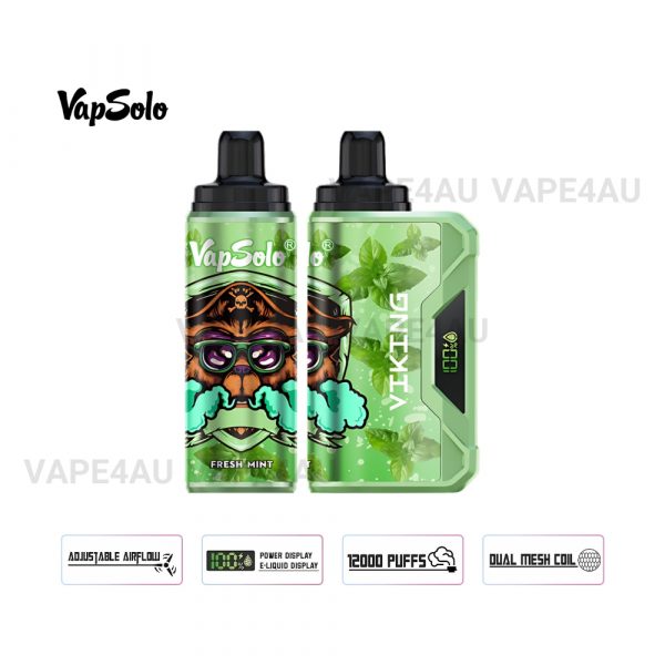VapSolo Viking 12000 Puffs Fresh Mint