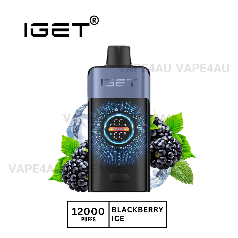 Iget One 12000 Puffs Blackberry Ice