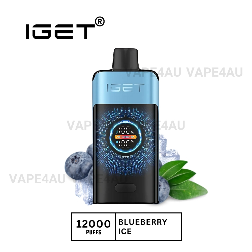 Iget One 12000 Puffs Blueberry Ice