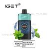Iget One 12000 Puffs Mountainspring Mint Ice