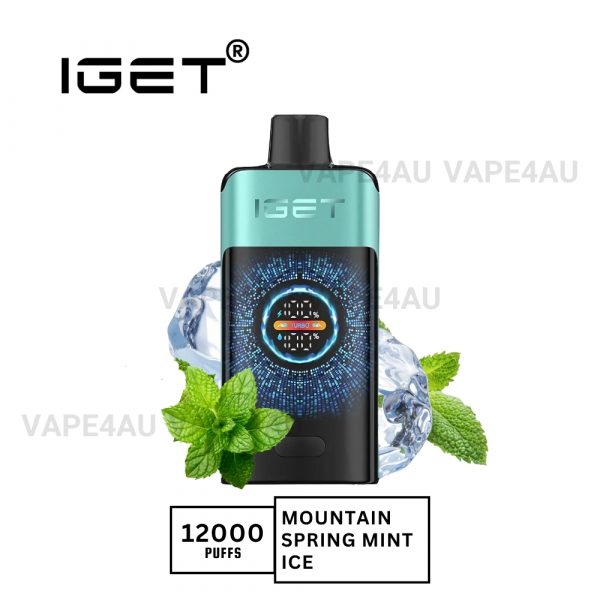 Iget One 12000 Puffs Mountainspring Mint Ice