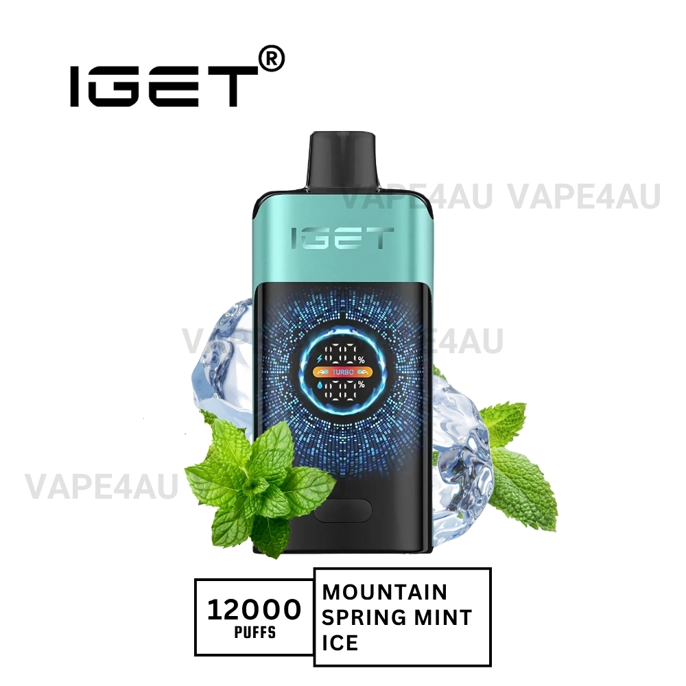 Iget One 12000 Puffs Mountainspring Mint Ice