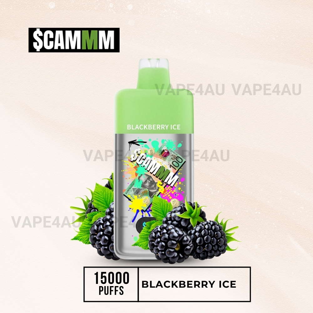 $CAMM AS 15000 Puffs Blackberry Ice