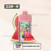 $CAMM AS 15000 Puffs Watermelon Ice