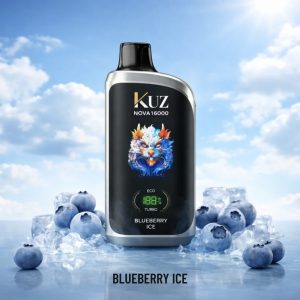 KUZ Nova 16000 Puffs Blueberry Ice