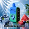 Crystal Mary Pulse 20000 Puffs Blueberry Watermelon