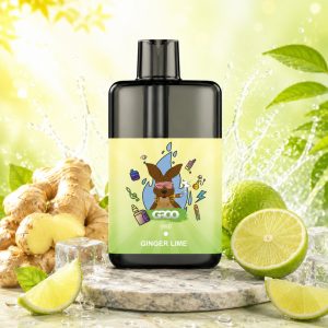 GROO Max 10000 Puffs Ginger Lime